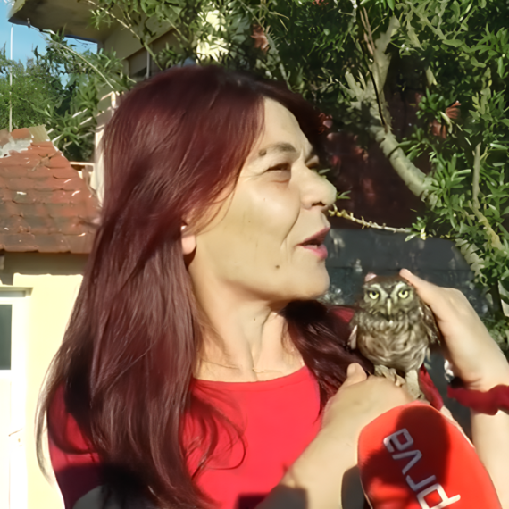 Persa i njen suprug pripitomili su SOVU: Spasili su je kad je PALA SA KROVA, a od tog dana NE ODVAJA SE OD NJIH! (VIDEO)